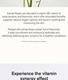 Urbanand Propolis.t Ampoule - 50ml