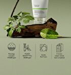 Phytology 17 Perfect Cleansing Foam - 150ml