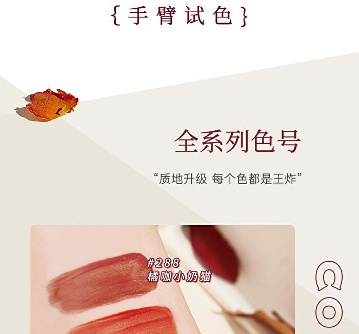 Light Feather Soft Mist Lip Gloss - 6 Colors - 02# Rotten Tomatoes - 3.5g