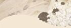 Cheerflor Brilliant Secret Series Pearlescent Frame Highlighter - 2 Colors - CFR965 Secret Champagne - 5g