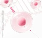 Cushion Lip Powder Cream (17-20) - #N19 - 2.6ml