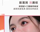 Cushion Lip Powder Cream (17-20) - #N20 - 2.6ml