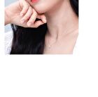 Black Rouge Colordation Mood Palette Weather.zip Edition - 2 Types - MP04 Spring Shine