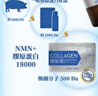 Collagen 18000+ Drink - 30ml x 10