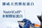 Collagen 18000+ Drink - 30ml x 10