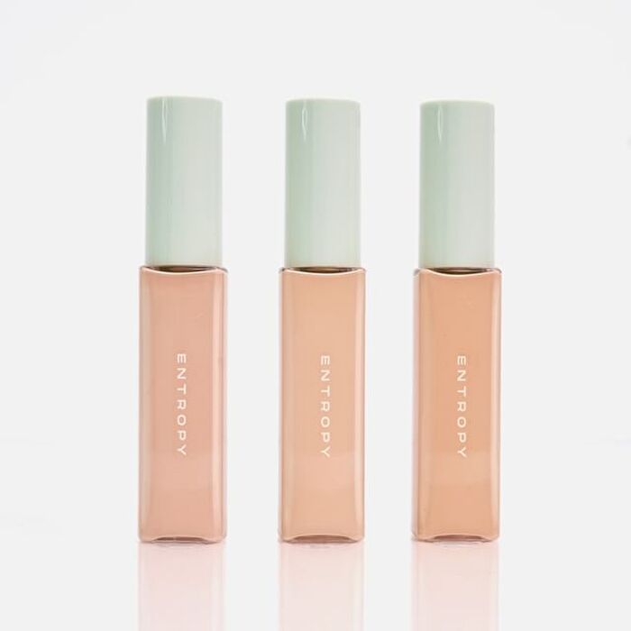 Entropy Organza Fit Spatula Foundation - 3 Colors - #22.8