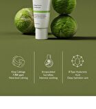 Cabbage 74 Calming Cream - 2024 Version - 50ml