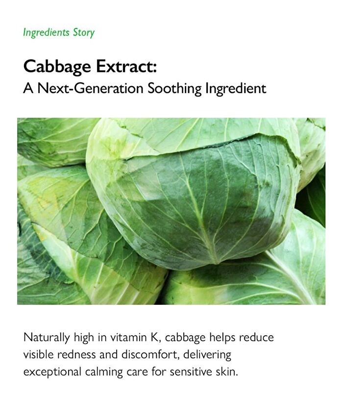 Cabbage 74 Calming Cream - 2024 Version - 50ml
