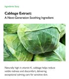 Cabbage 74 Calming Cream - 2024 Version - 50ml
