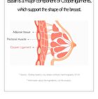 Sery Box Dr.PRIO More Different Mucin Collagen Elastin - 20g x 14 sticks