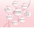 Sery Box Dr.PRIO More Different Mucin Collagen Elastin - 20g x 14 sticks