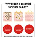 Sery Box Dr.PRIO More Different Mucin Collagen Elastin - 20g x 14 sticks