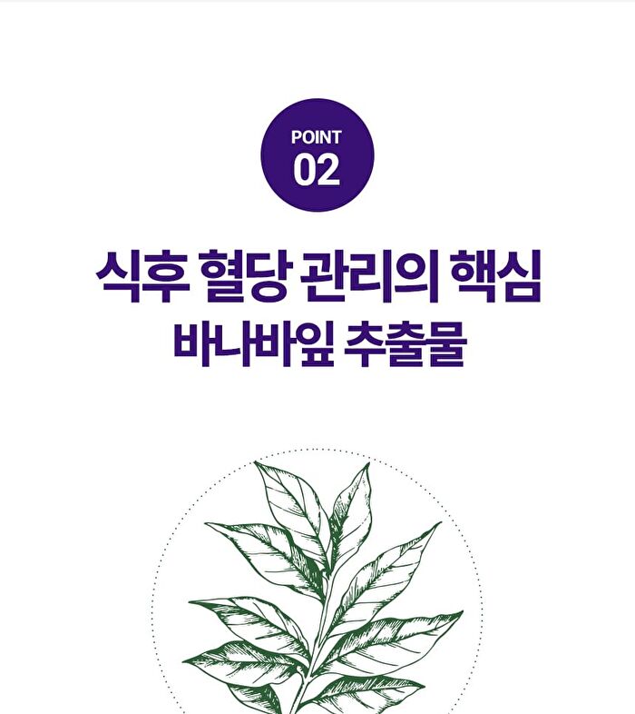 Sery Box Seryburn Oasis Line Cut V2 - 2025 Version - 8g x 28 sticks