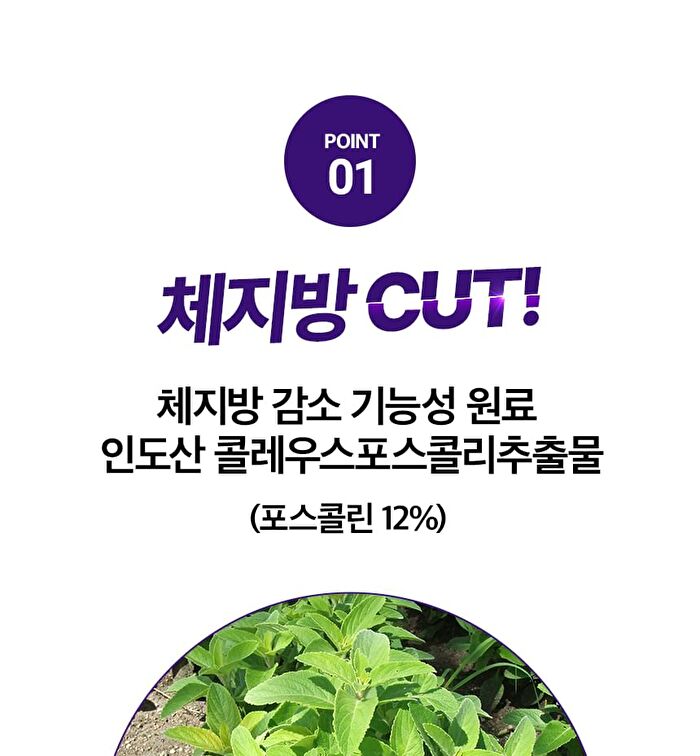 Sery Box Seryburn Oasis Line Cut V2 - 2025 Version - 8g x 28 sticks