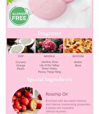 Kids Moisture Whipping Bar Set - 2 Types - Pink