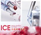 Watery Essence Lip Gloss (1-3) - #G03 Brown Sugar Ice - 4ml