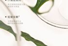 Puljim Tea Series Perfumed Moisturizing Hand & Nail Cream - 6 Types - Tea Dyeing Jasmine - 50g
