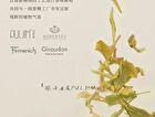 Puljim Tea Series Perfumed Moisturizing Hand & Nail Cream - 6 Types - Amber Black Tea - 50g