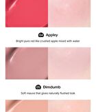 Mousse Care Cheek Handy - 8 Colors - #99 Down