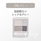Gradient Eyeshadow - 06 Chic Gray