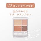 Gradient Eyeshadow - 06 Chic Gray