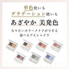 Twin Color Eyeshadow - 93 Blue