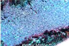 Magic Collection Chameleon Single Color Eyeshadow - 1-3 - #02 Night Elves - 1.8g