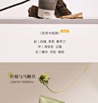 To Glow Plant Extract Purifying Scrub (Travel Size) - 2 Flavors - SANDALWOOD (15g x 6pcs)