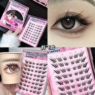 False Eyelashes - 3 Styles - #02 - 24 pairs