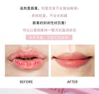 Fruit Extract Lip Balm - 4 Types - #02 - 13g
