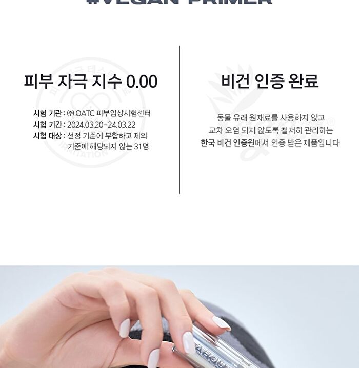 Blur Lasting Stick Primer - 10g
