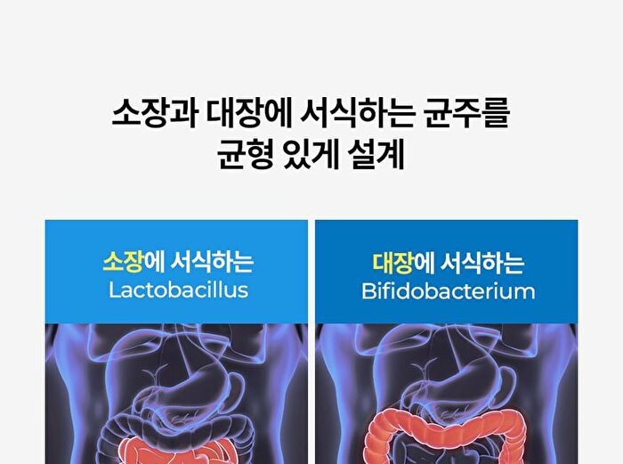 Foodology Coleology Cut Diet Probiotics - 350mg x 20 capsules