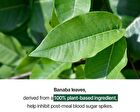 Coleology Tea PRO Hobby Escape - 8g x 15 sticks