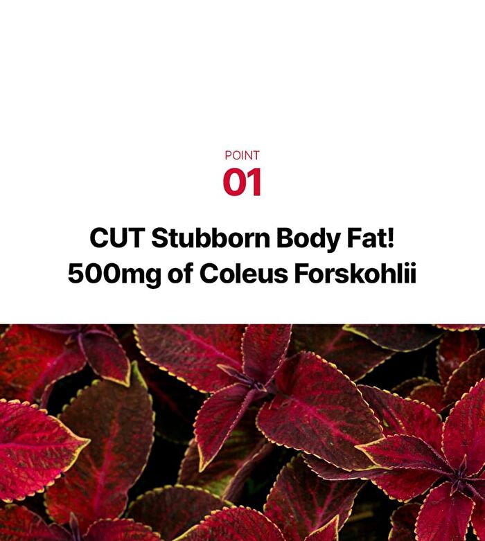 Foodology Coleology Cut PRO - 600mg x 60 tablets