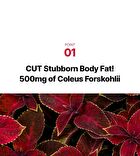 Foodology Coleology Cut PRO - 600mg x 60 tablets