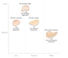 The Jelly Skin Cushion - 4 Colors - #04 Almond Mousse