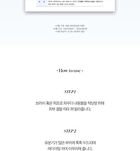 Labiotte Skin Enhancer Finish Powder Pact - 4g