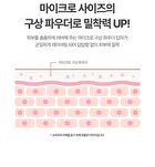 Labiotte Skin Enhancer Finish Powder Pact - 4g