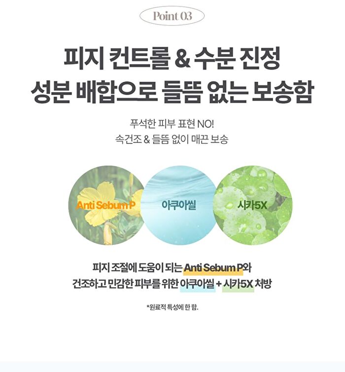Labiotte Skin Enhancer Finish Powder Pact - 4g