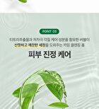 Labiotte Tea Tree Calming Cleansing Foam - 150ml