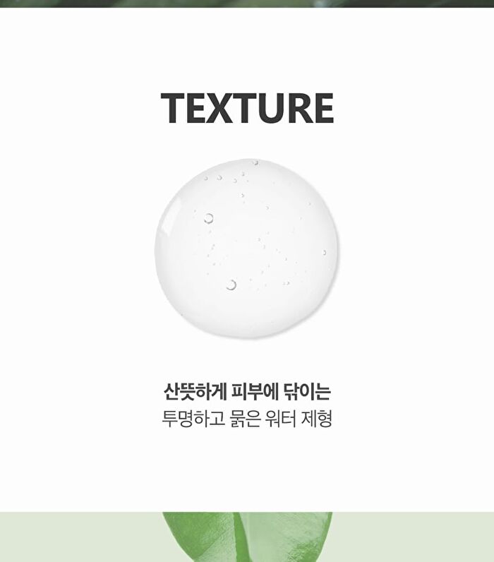 Labiotte Tea Tree Calming Cleansing Water - 300ml