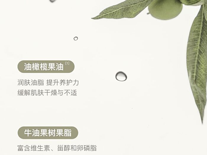 Squalane Perfumed Body Lotion - 7 Flavors - Raining Grassland - 240ml