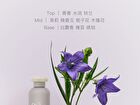 Squalane Perfumed Body Lotion - 7 Flavors - Raining Grassland - 240ml