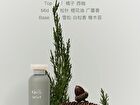 Squalane Perfumed Body Lotion - 7 Flavors - Raining Grassland - 240ml