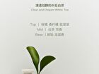 Squalane Perfumed Body Lotion - 7 Flavors - Raining Grassland - 240ml