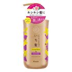 Ichikami Damage Repair & Color Care Shampoo - 330ml Refill
