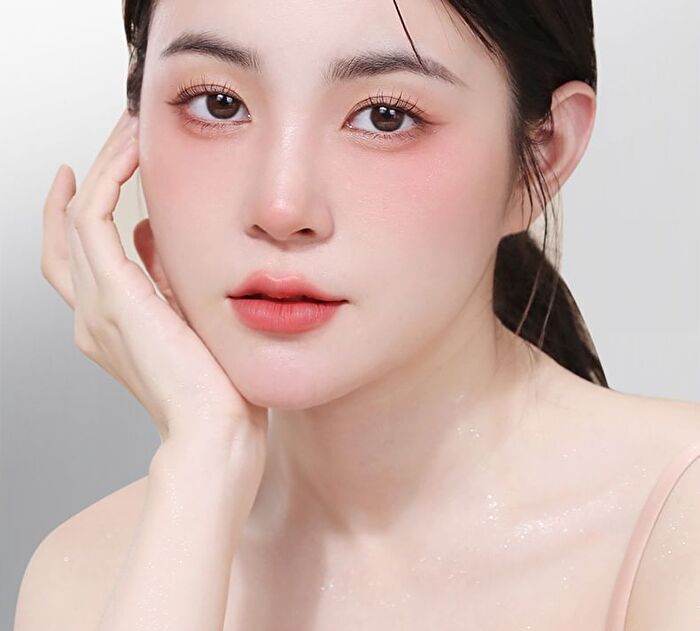 Novo Soft Highlight Blush Brush - 1pc