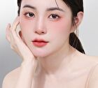 Novo Soft Highlight Blush Brush - 1pc