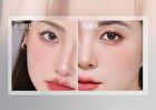 Novo Soft Highlight Blush Brush - 1pc