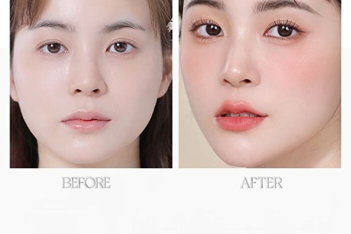 Novo Soft Highlight Blush Brush - 1pc